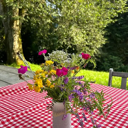 Haus Am Berg * Kitzbühel