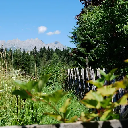 Haus Am Berg Tatil Evi Kitzbühel